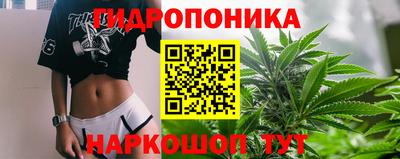 дурь Бийск
